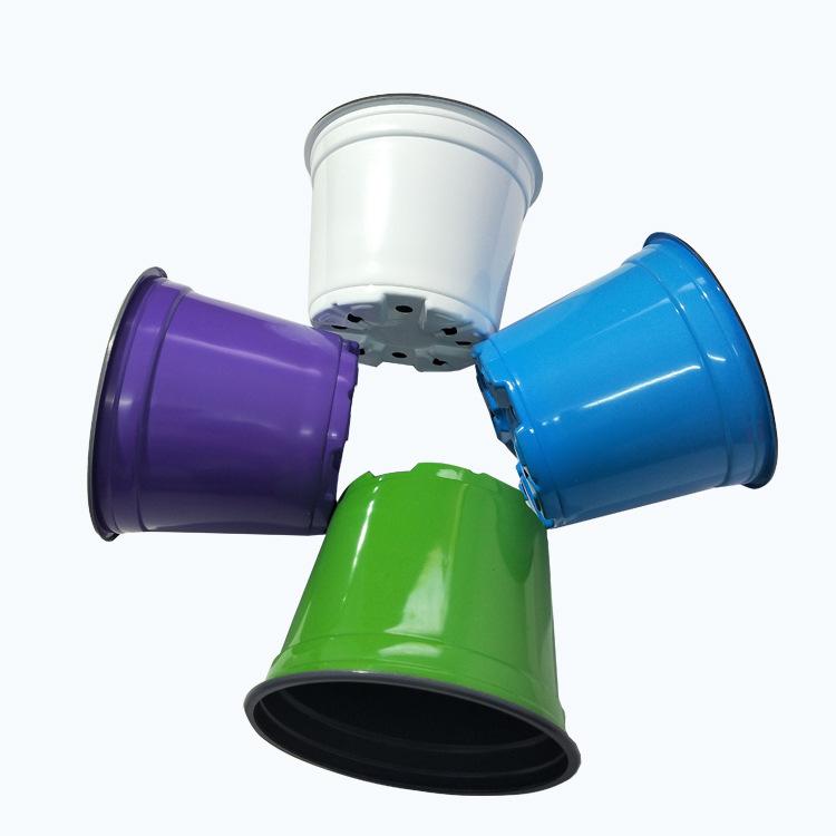 Factory wholesale plastic flowerpot seedling pot color two-color flowerpot meat flowerpot color plastic flowerpot thumbnail 4