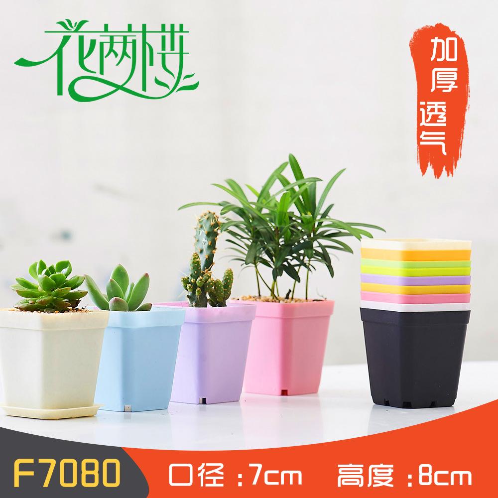 Factory direct plastic flowerpot small square thick fleshy small black square plastic small color Square fleshy plastic flowerpot
