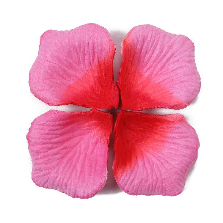 Light rose to dark rose