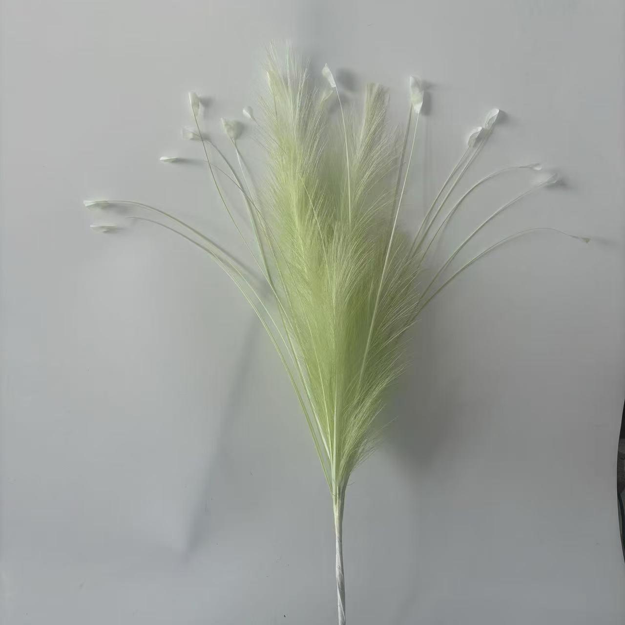 Dopamine green 6 reed grass 20 head peacock grass combination