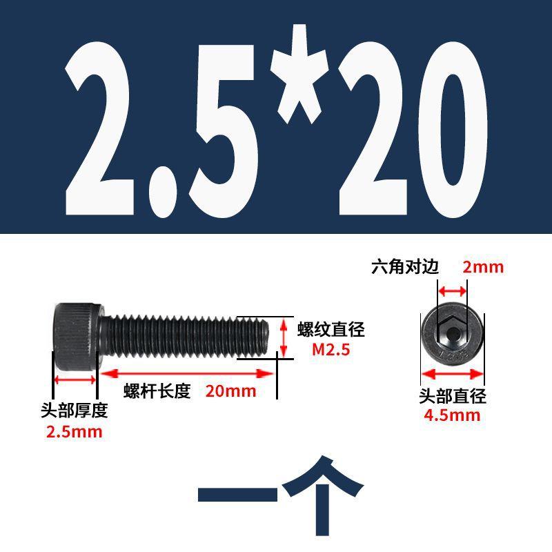 M2.5*20