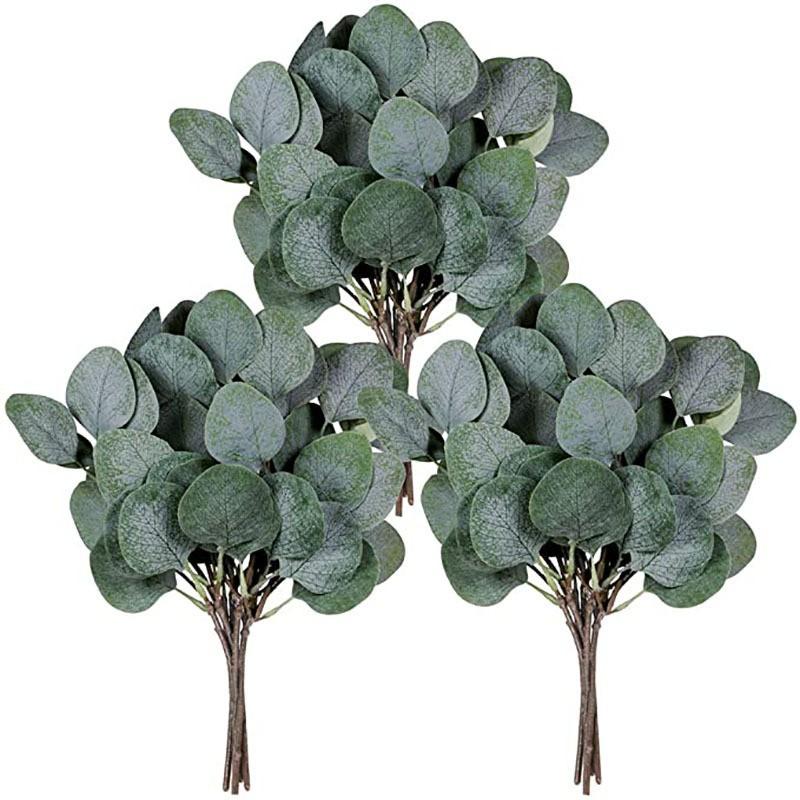 1 branch round leaf fruitless