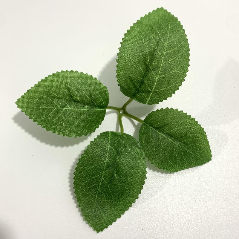 Big four-leaf rose leaf