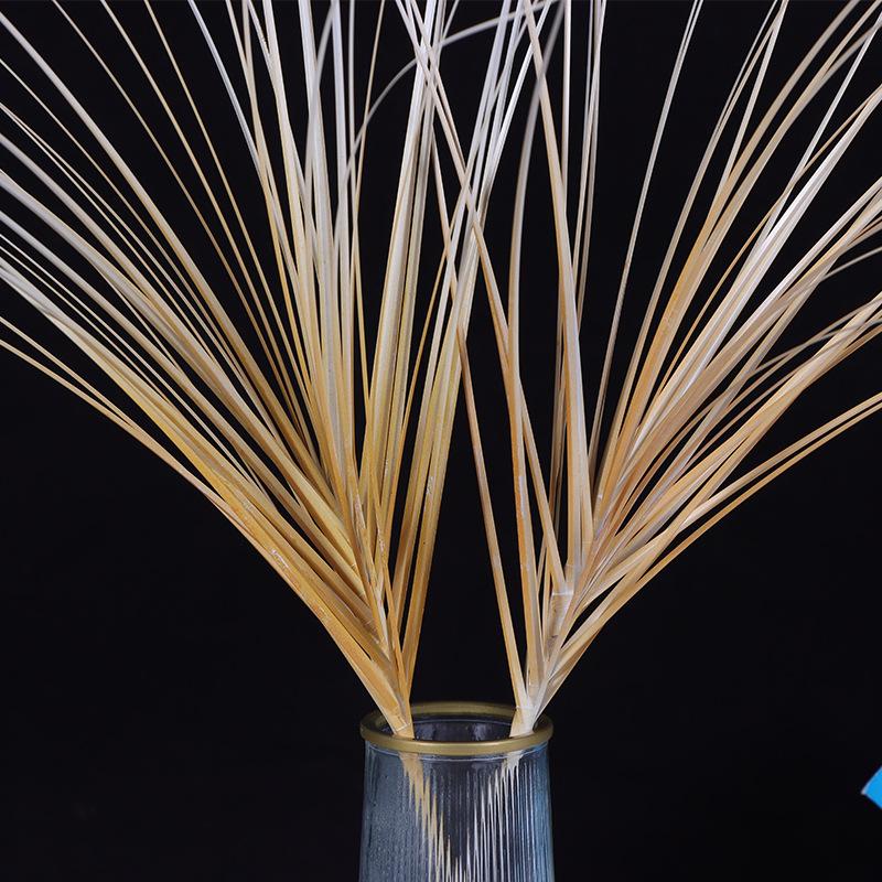 Gradient orange 40 head 75cm