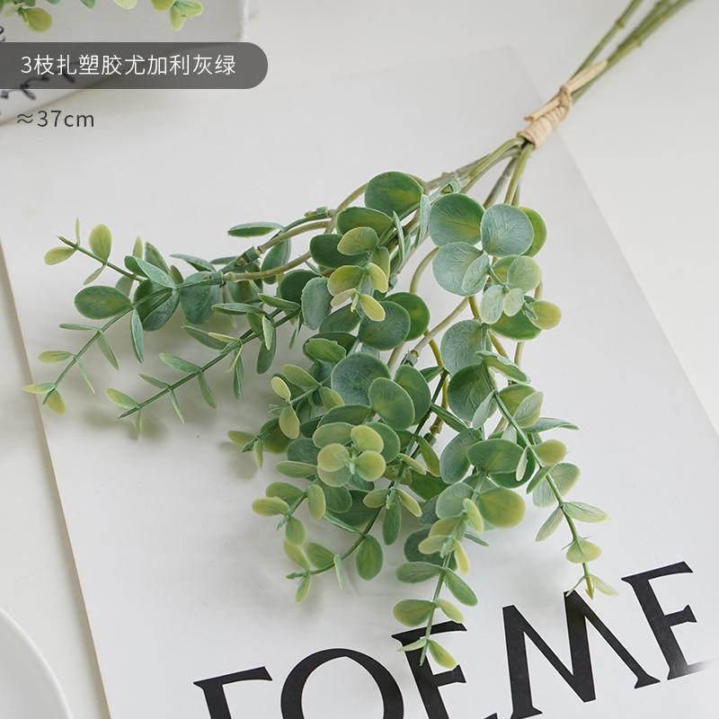 3 branches of eucalyptus