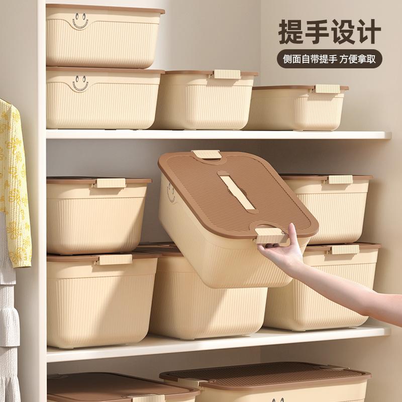 Desktop Storage Box Snacks Sundries Fruit Storage Basket Satchel Plastic Home Clothing Storage Box with Lid