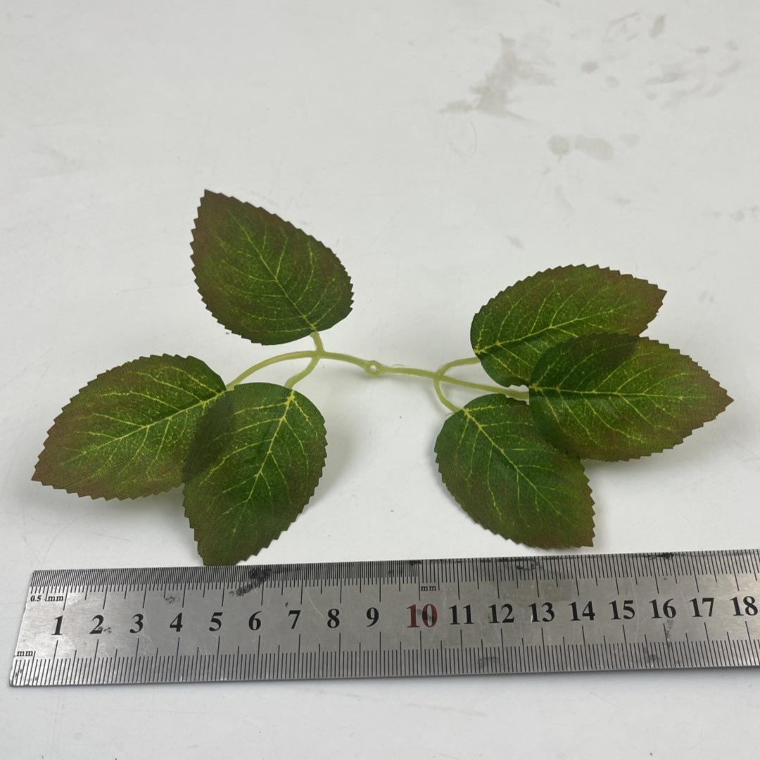 Silk screen size 6 rose leaf red edge