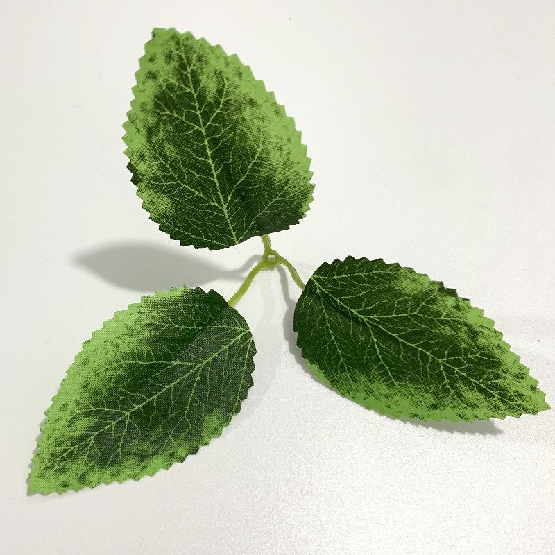 Big Trigeminal Rose Leaf