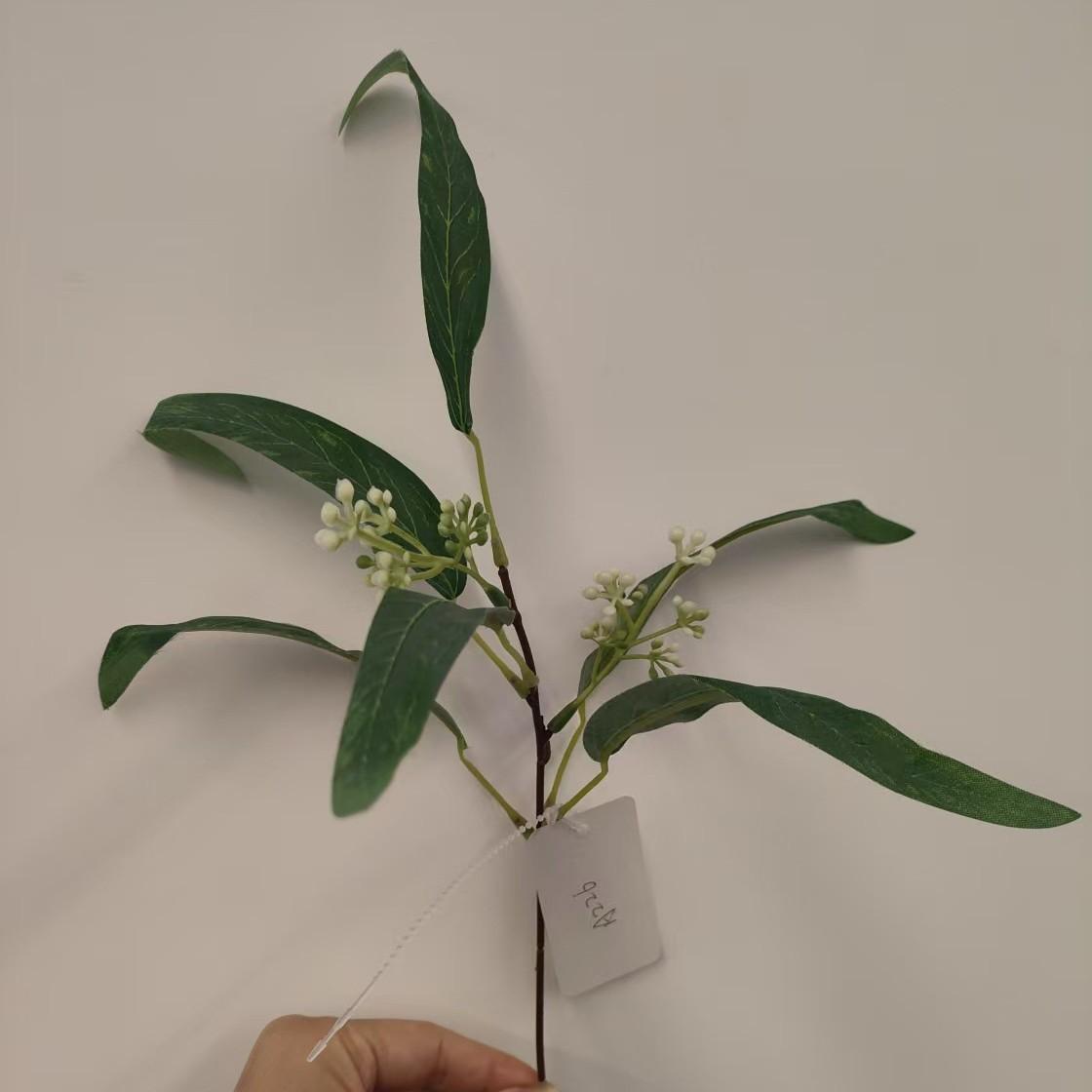 Single curved willow leaf