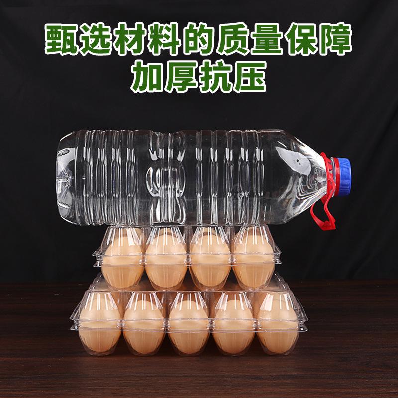 Plastic Egg Trays, Disposable, Transparent with Lid, 10-Pack, 6-Pack, Thickened Pet Egg Trays, Direct from Manufacturer thumbnail 4