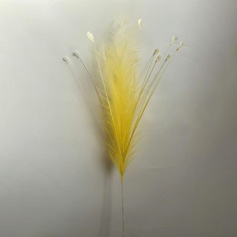 Fluorescent yellow 5 reed stems + 10 helichrysum stems