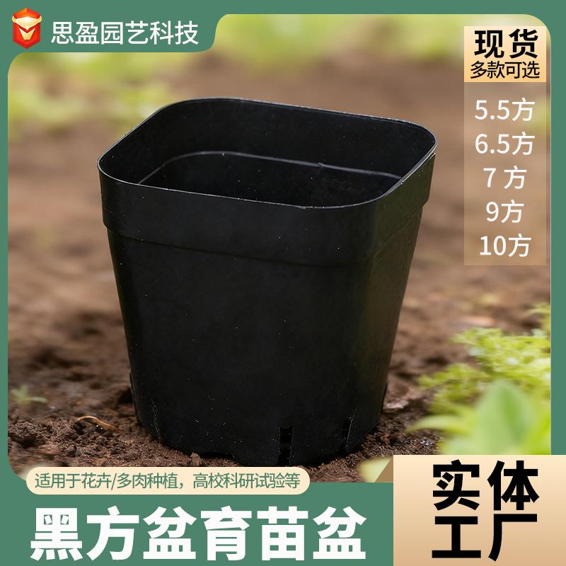 Succulent Base Flower Pots, Plastic Square and Round Plant Pots for Leaf Cuttings, Seedling Cups, Black Square Pots, Green Plant Flower Pots