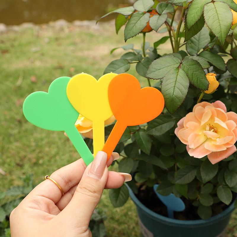 Wholesale gardening label potted small card plastic love flower fleshy card green plant greenhouse land card