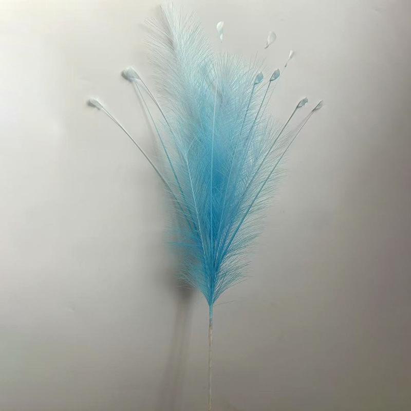 5 reeds in leaf orchid color + 10 peacock grass