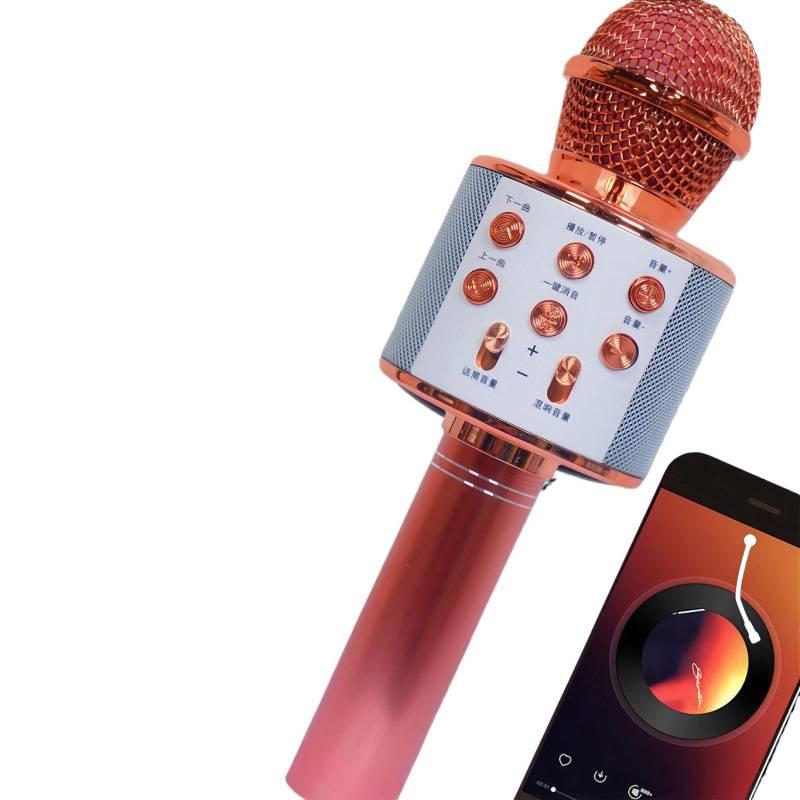 Ws858 Microphone Audio Wireless Microphone Home Universal Karaoke Bluetooth Home Kidsren's All-In-One Microphone Speaker thumbnail 2