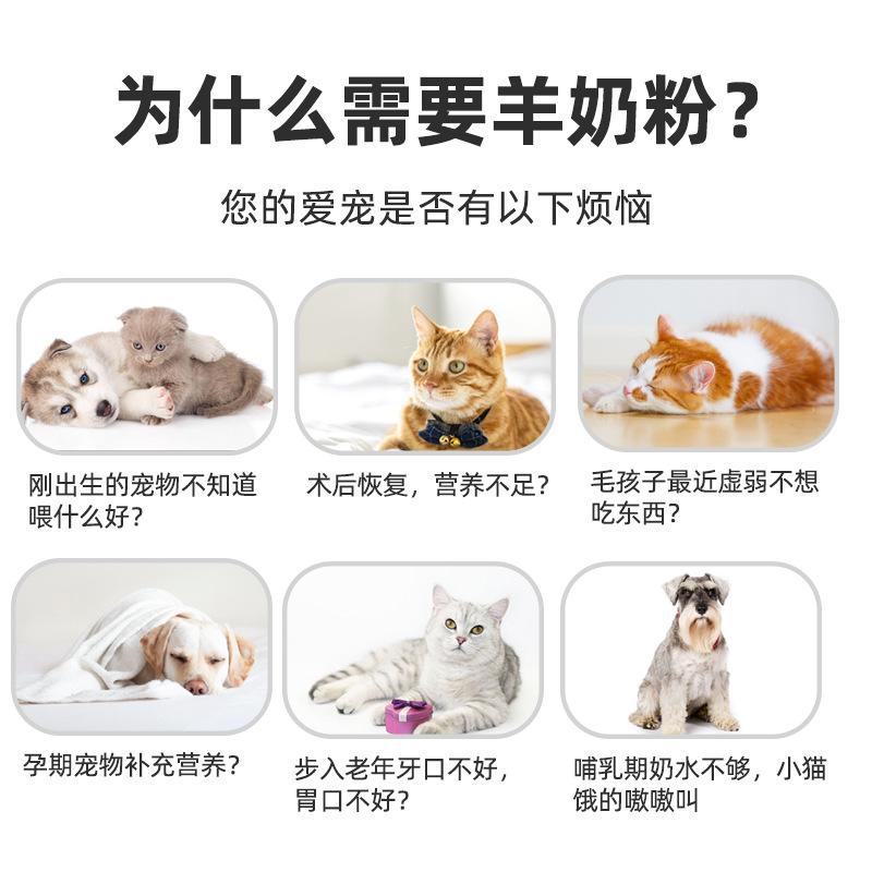 Spot pet sheep milk powder dog milk powder puppy cat puppy Teddy Bear Cat sheep milk powder wholesale 400g thumbnail 2