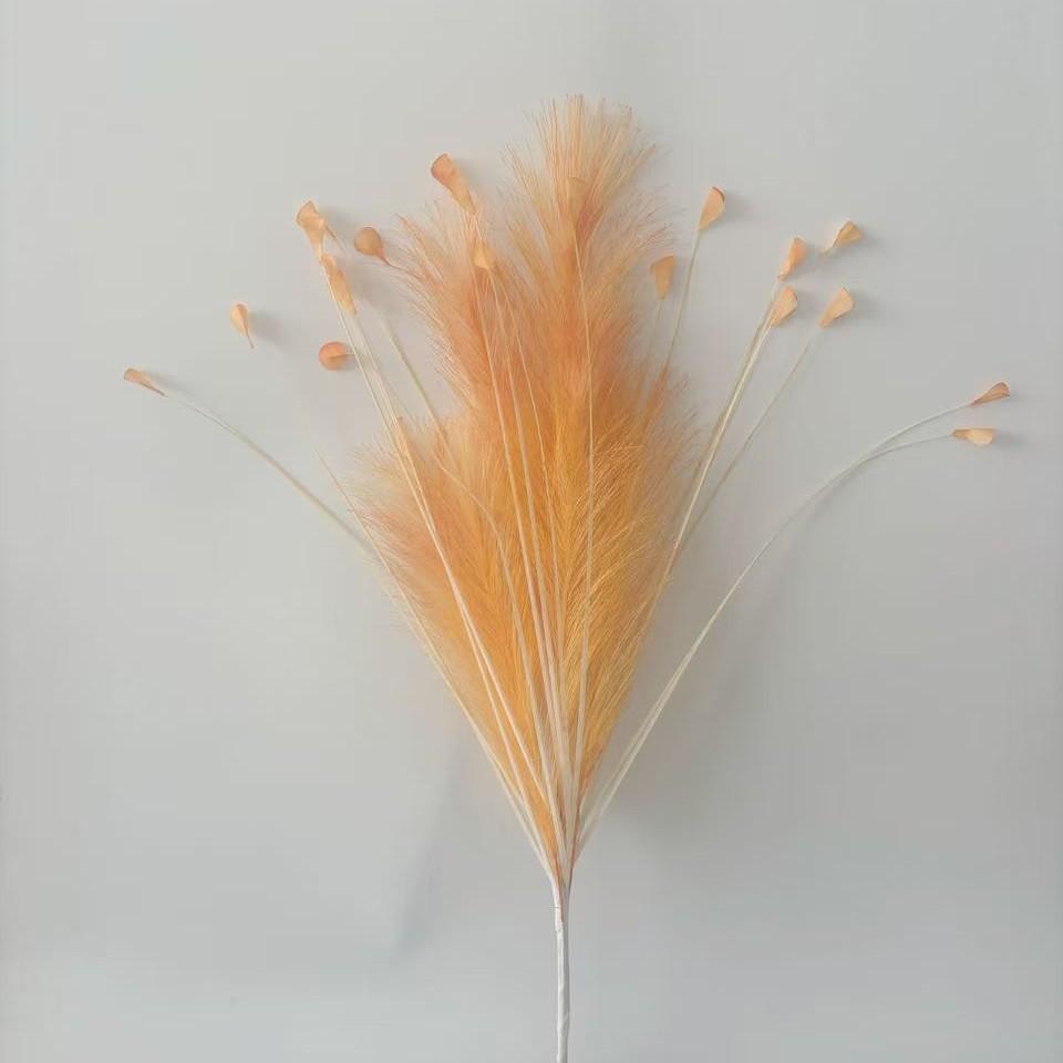 Dopamine orange 6 reed grass 20 head peacock grass combination