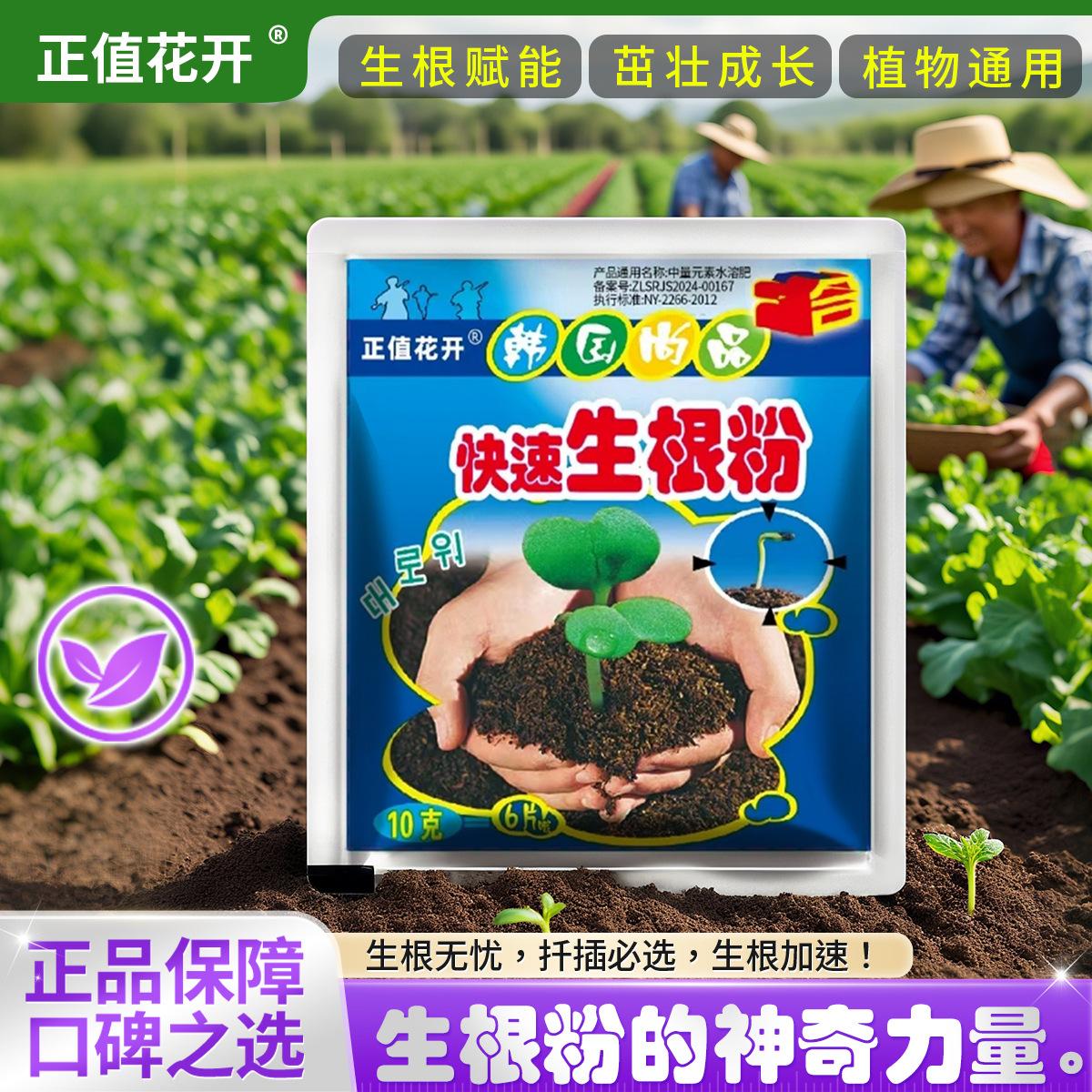 Rooting Powder for Seedling Growth, Biological Transplanting, Plant Rooting, Tree Transplanting, Flower Transplanting, Seedling Planting, Cutting Rooting Powder