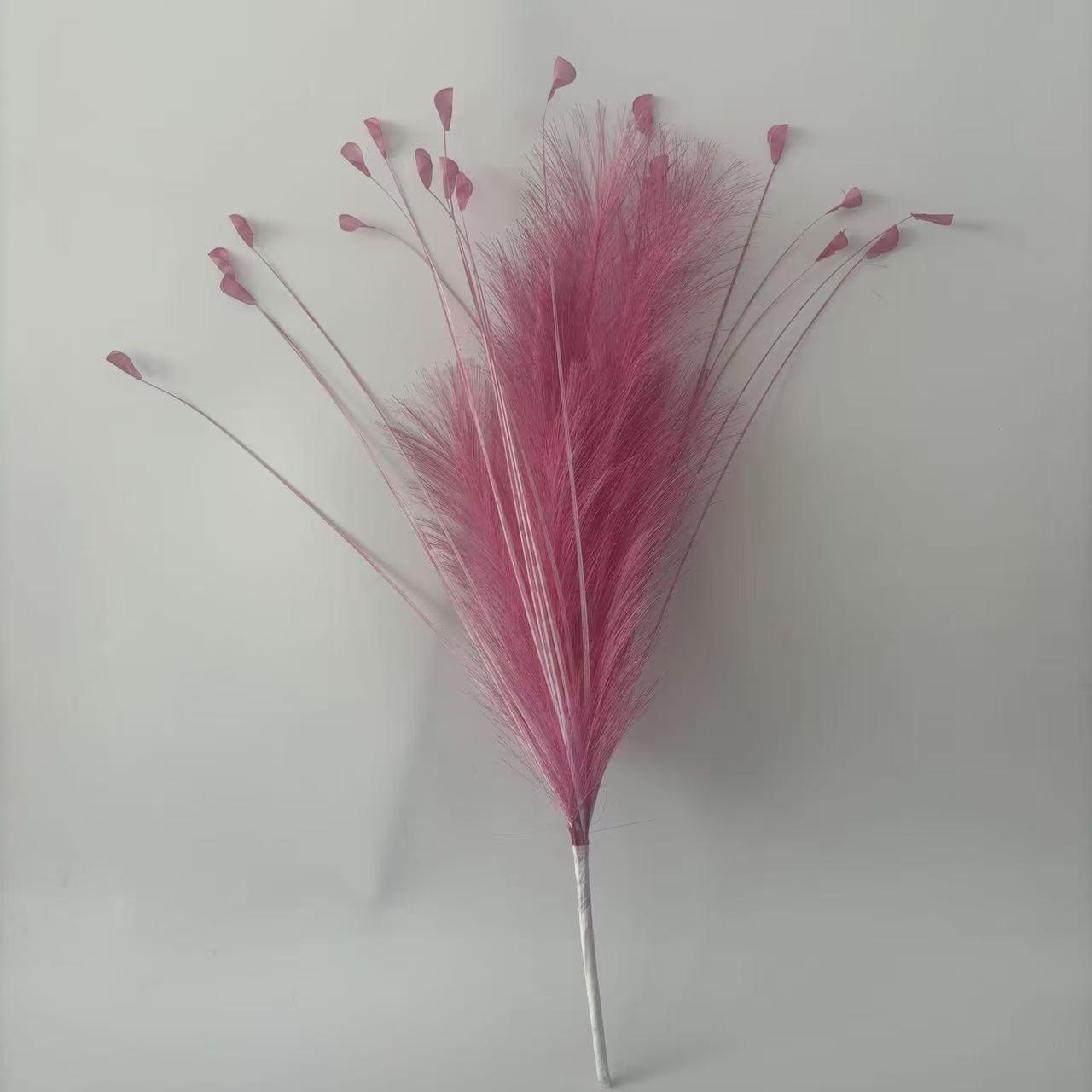 Rose red 6 reed grass 20 head peacock grass combination