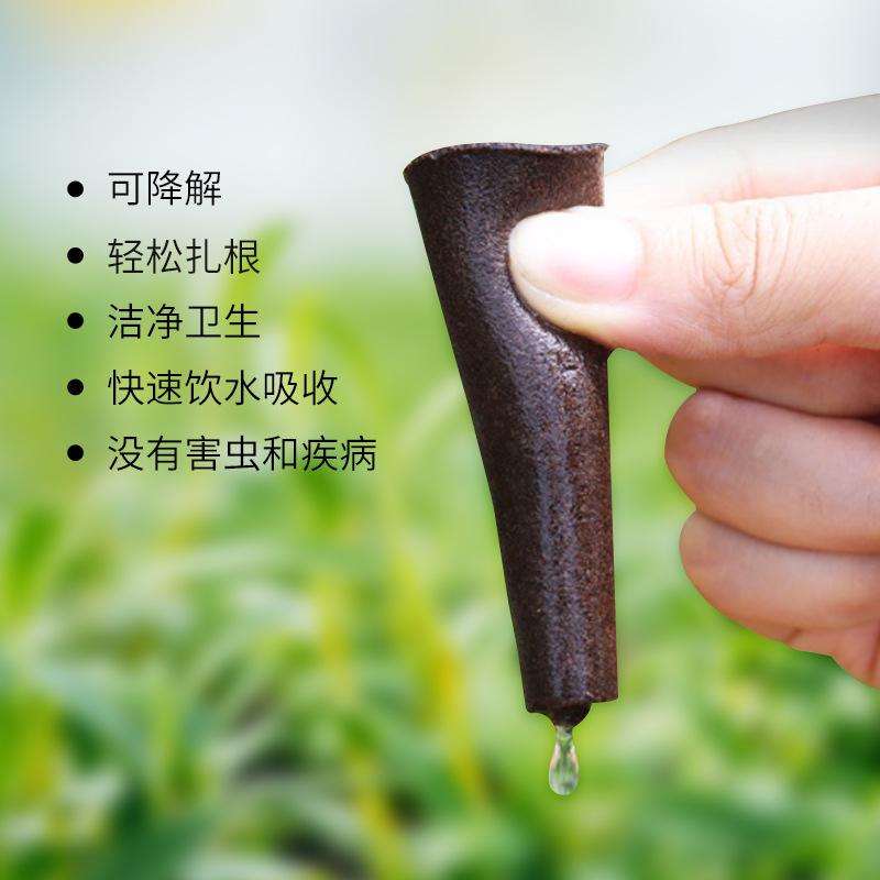 Cross-Border Soilless Cultivation Seedling Substrate Hydroponic Plant Planting Cotton Substrate Cotton Planting Hydroponic Plant Seedling Block thumbnail 2