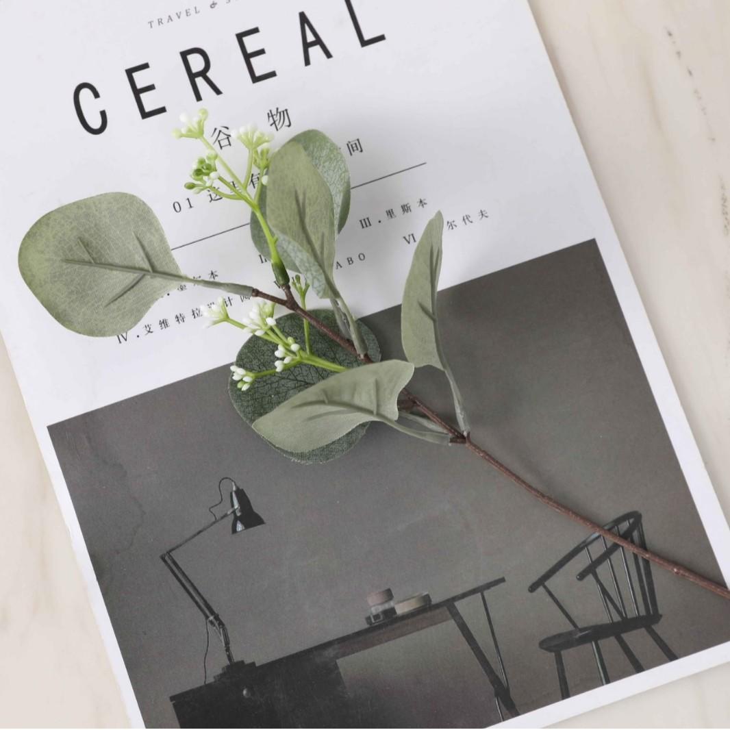 1 branch with round leaves and fruit