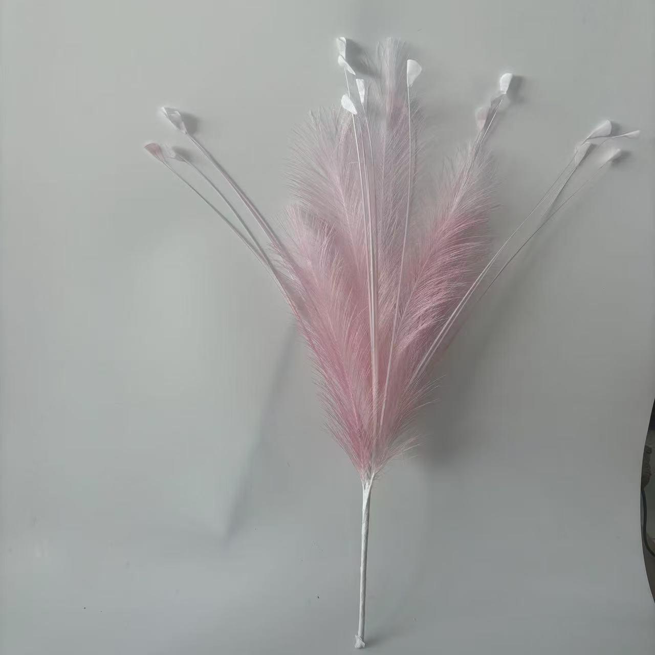 Dopamine powder 6 reed grass 20 head peacock grass combination