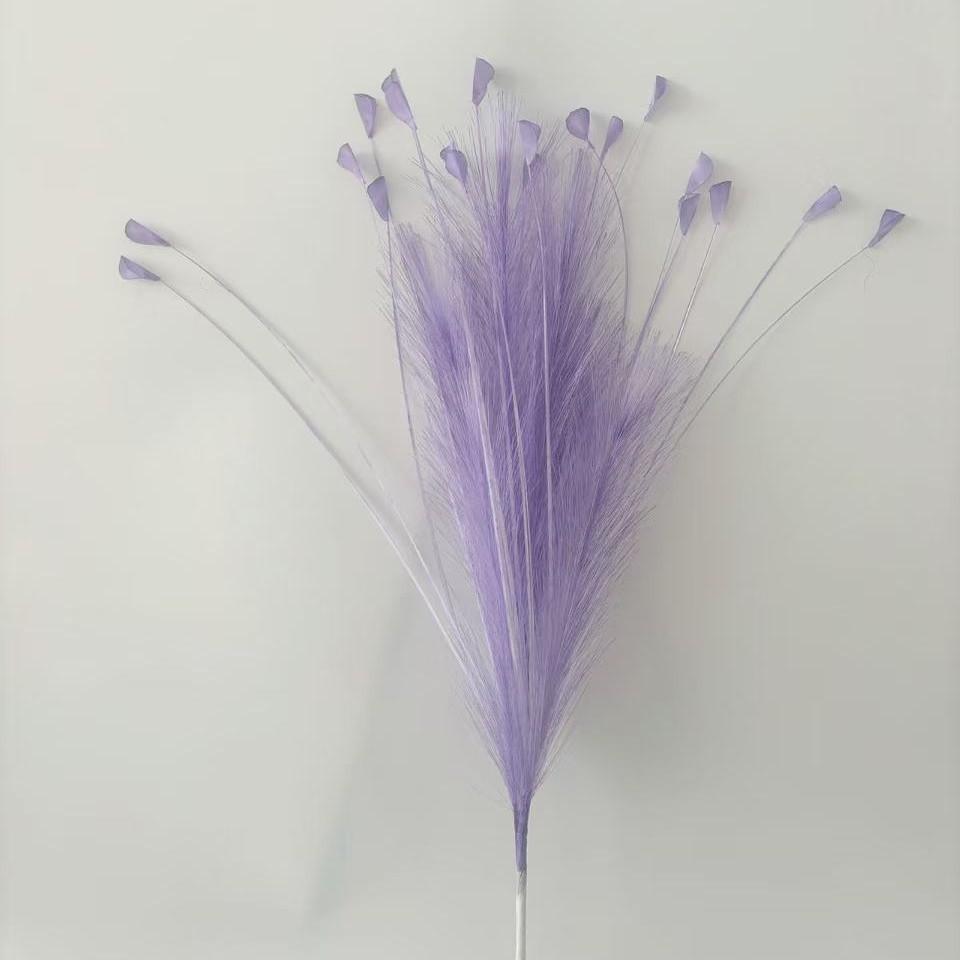 Gradient purple 6 reed grass 20 head peacock grass combination