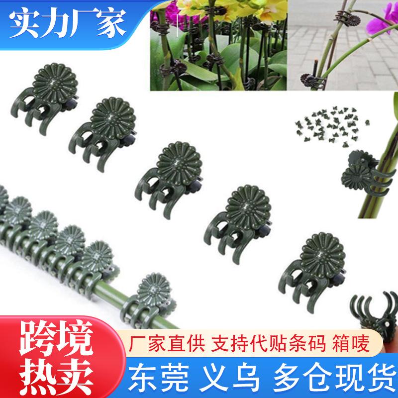 Orchid Stem Clip Plant Support Rattan Plastic Clip Flower Growth Upright Branch Clip Garden Plant Support Clip