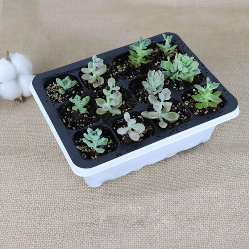 12-Piece Seedling Set with Heightened and Thickened Trays for Sowing, Breathable and Moisturizing, Cutting Tool, Insulated Seedling Trays with Lids thumbnail 3