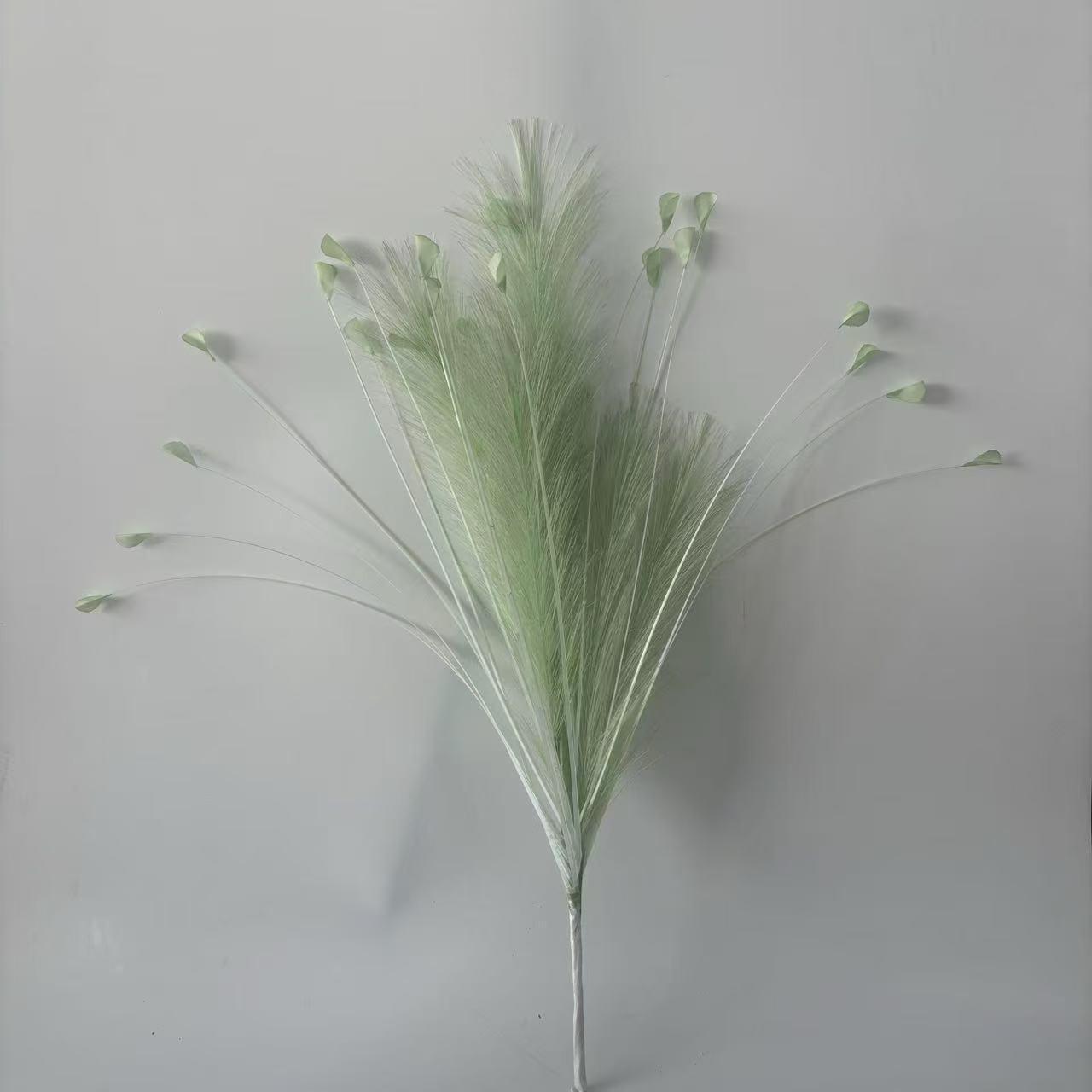 Grass green 6 reed grass 20 head peacock grass combination