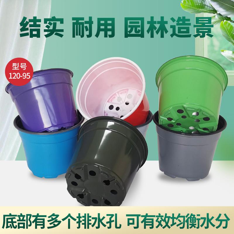 Factory wholesale plastic flowerpot seedling pot color two-color flowerpot meat flowerpot color plastic flowerpot thumbnail 2