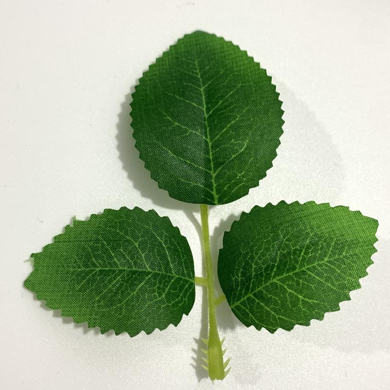 Small three-leaf rose leaf