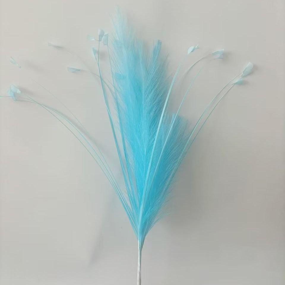 Dream blue 6 reed grass 20 head peacock grass combination