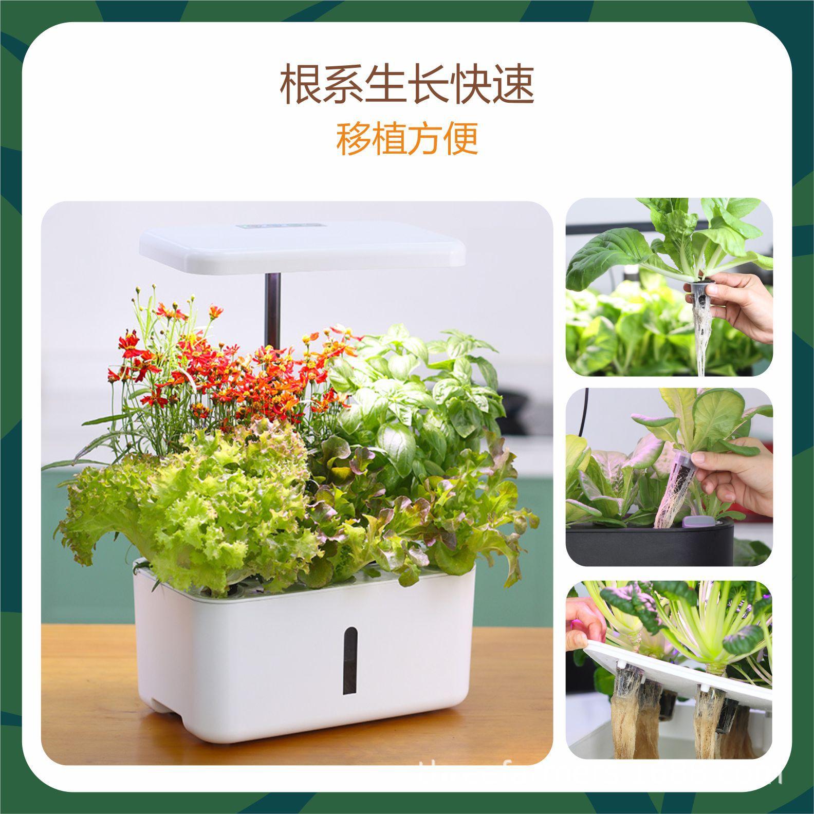 Seedling Substrate Block Seed Starter Bio-carbon Cotton Peat Block Hydroponic Planting Block AeroGarden iDoo thumbnail 4
