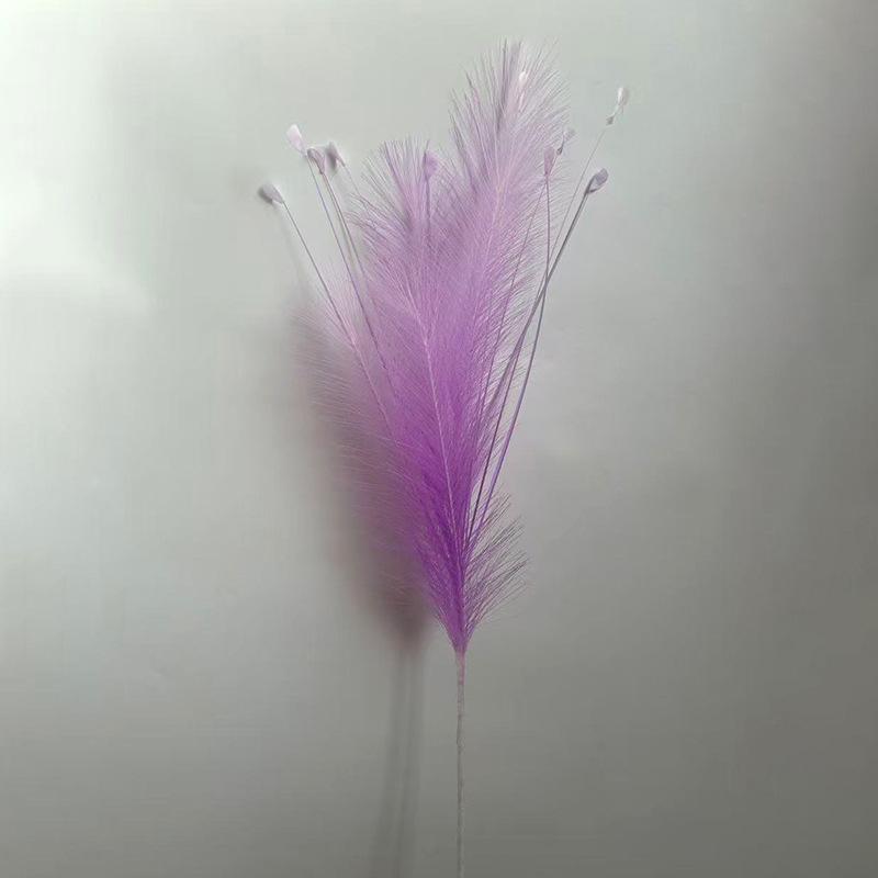 Brilliant purple 5 reeds + 10 peacock grass