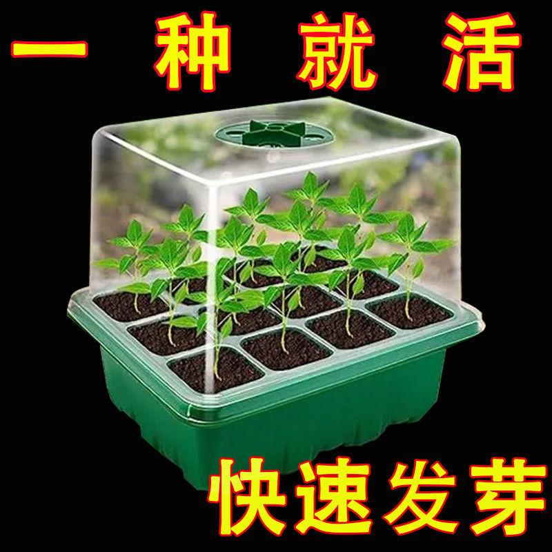 12-Piece Seedling Set with Heightened and Thickened Trays for Sowing, Breathable and Moisturizing, Cutting Tool, Insulated Seedling Trays with Lids thumbnail 2
