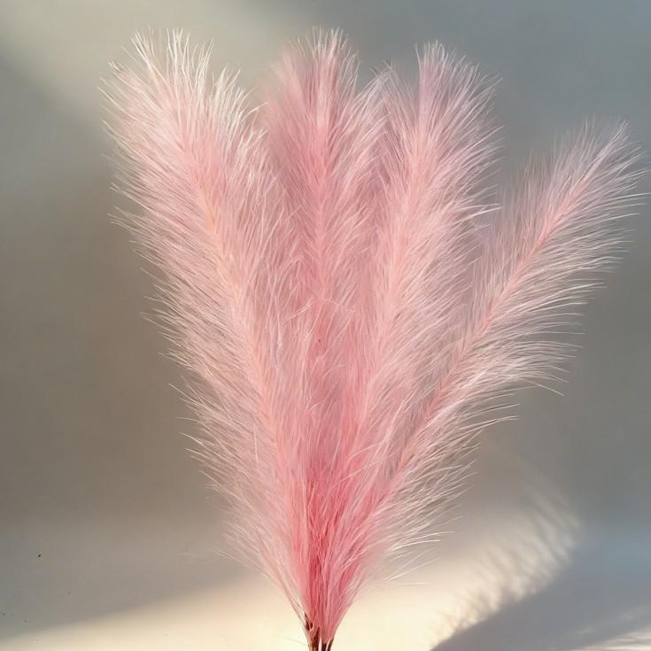 Dopamine powder single root 43cm