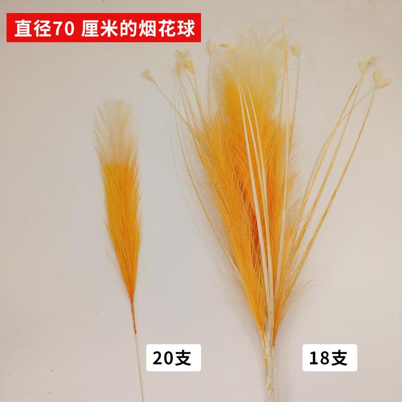 Dopamine orange 20 reed grass + 18 fireworks balls