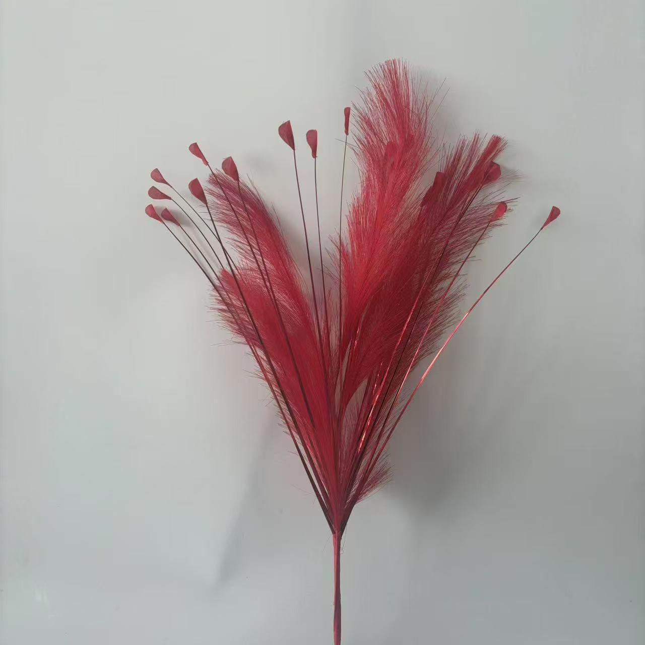 Big red 6 reed grass 20 head peacock grass combination