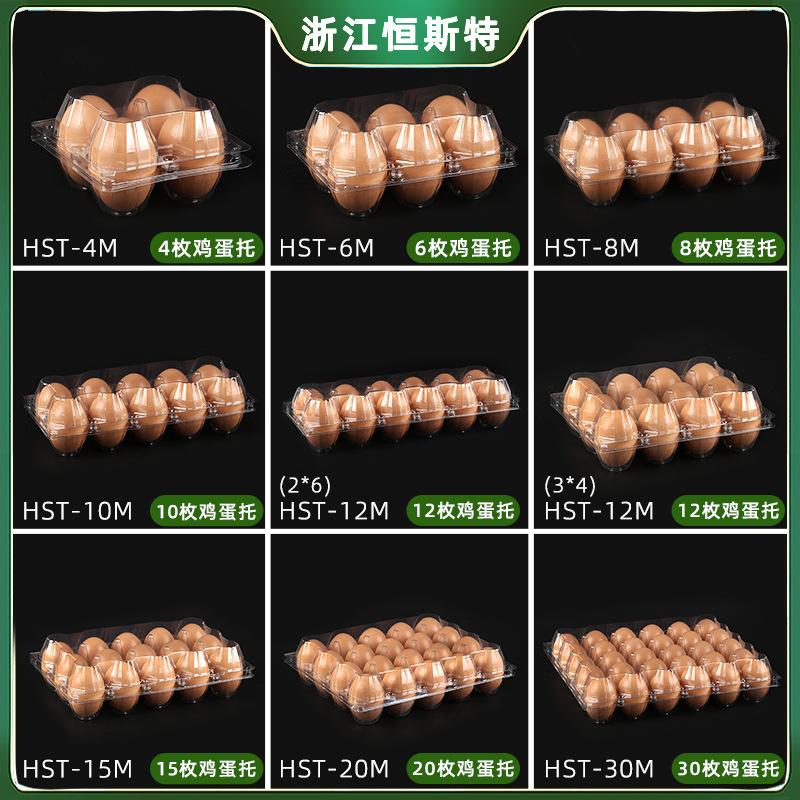 Plastic Egg Trays, Disposable, Transparent with Lid, 10-Pack, 6-Pack, Thickened Pet Egg Trays, Direct from Manufacturer