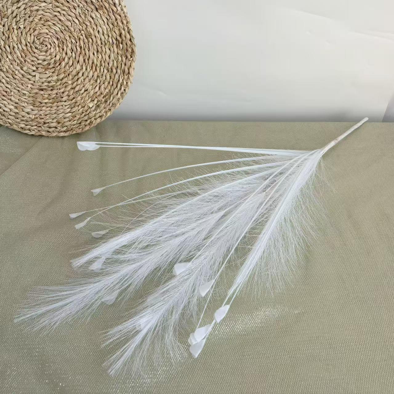 Plain white 6 reed grass 20 head peacock grass combination