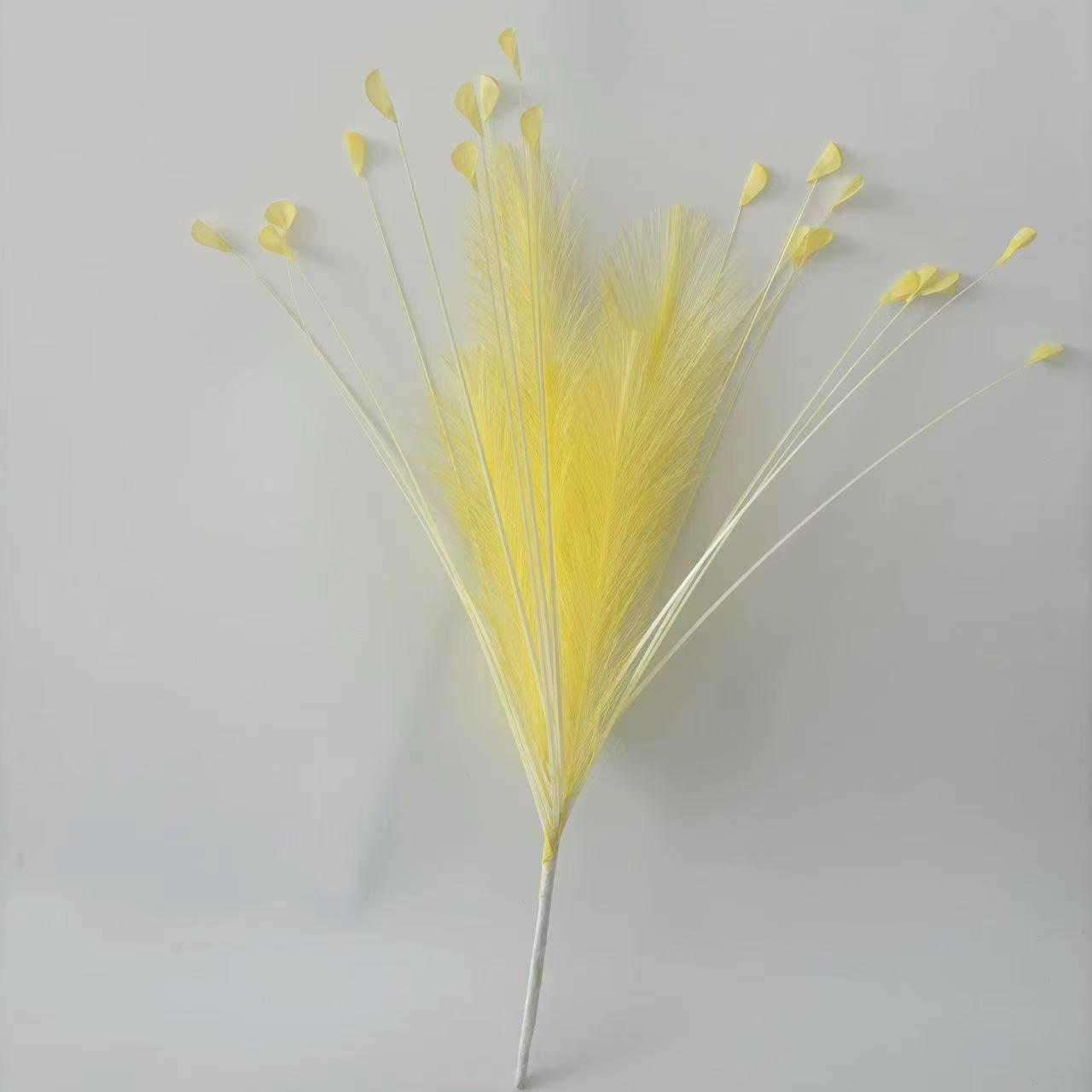 Dopamine yellow 6 reed grass 20 head peacock grass combination