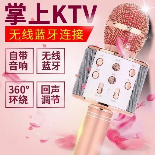 Ws858 Microphone Audio Wireless Microphone Home Universal Karaoke Bluetooth Home Kidsren's All-In-One Microphone Speaker thumbnail 4